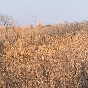 Meet your Posher, Kenny